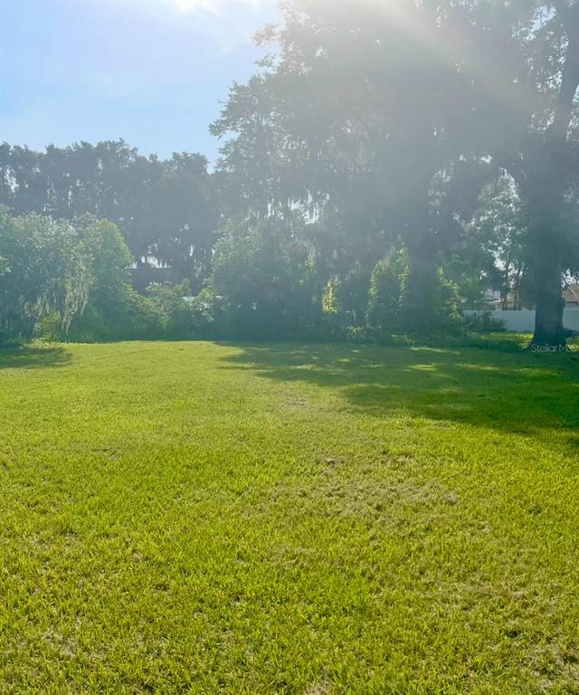 A grassy, sunlit vacant lot is surrounded by mature trees and dense vegetation — 109 SE PINE AVENUE, FORT MEADE, FL