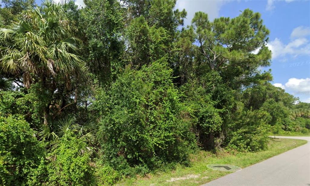 A dense, wooded lot with various trees and shrubs borders a paved road — NASHVILLE ROAD, NORTH PORT, FL