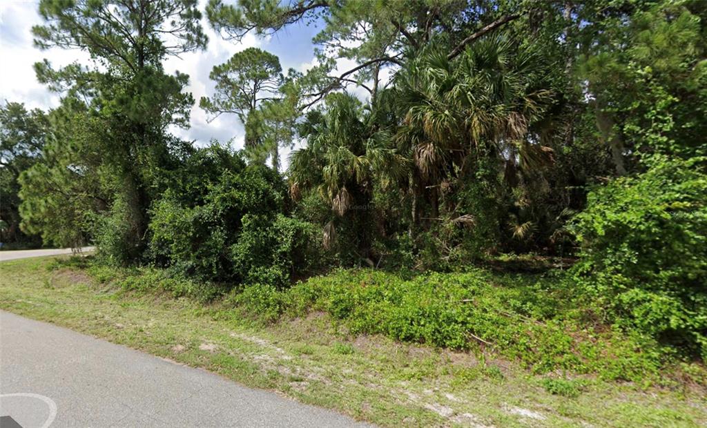 A vacant, wooded lot with dense vegetation and tall pine trees along a paved road — NASHVILLE ROAD, NORTH PORT, FL