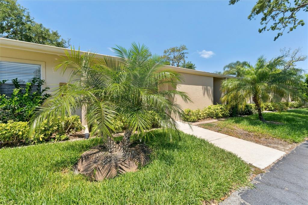 A beige single-story building exterior features a concrete walkway, palm trees, and green landscaping — 2640 WOODGATE LANE UNIT F6, SARASOTA, FL