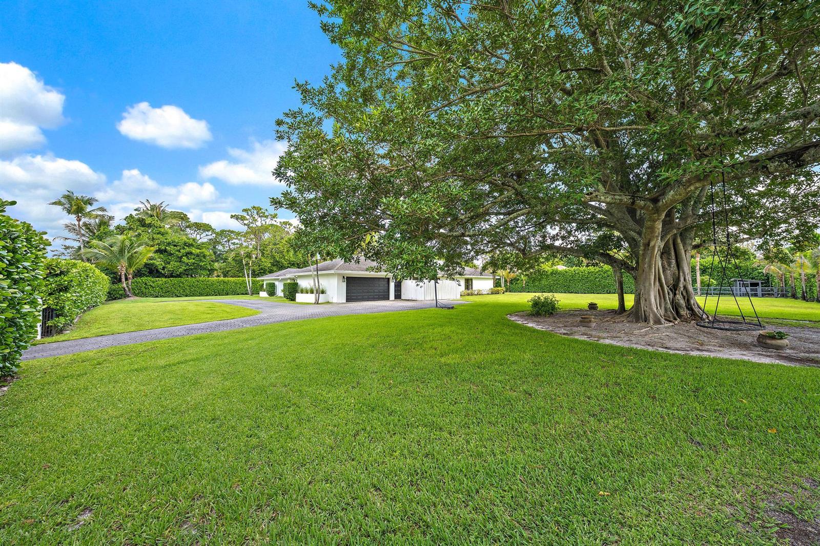 A large tree with a hanging swing stands on a lawn beside a paved driveway — 14039 Greentree Trail, Wellington FL 33414, WELLINGTON, FL