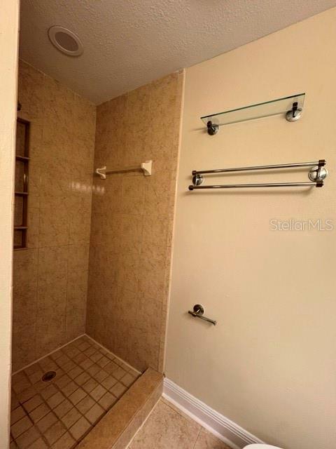 A tiled walk-in shower stands next to a wall with a glass shelf and towel rack — 11722 RAINTREE LAKE LANE UNIT C, TAMPA, FL