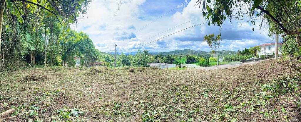 A wide, cleared grassy lot overlooks a scenic valley with distant mountains and nearby houses — CALLE PINEROS, CAYEY, PR