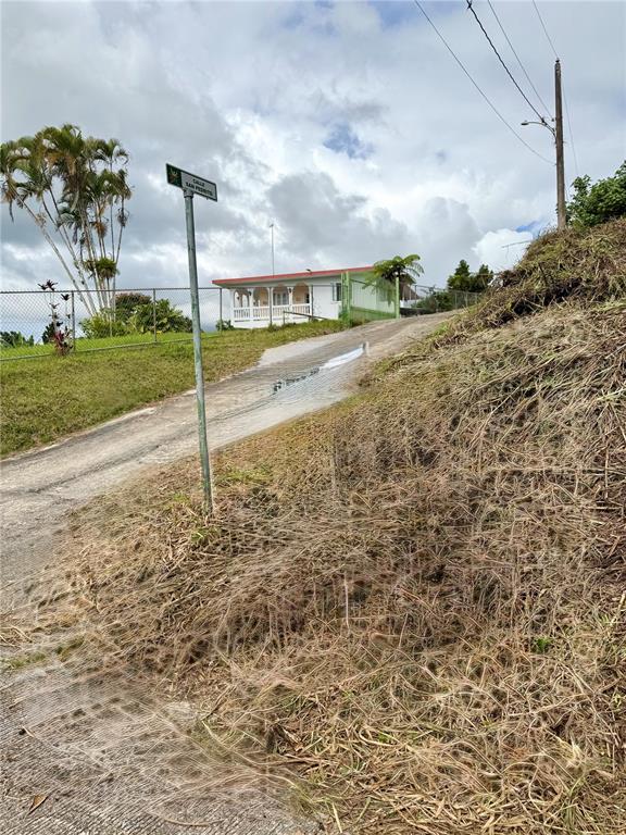 A paved driveway leads up a hill toward a white house with a red roof — CALLE PINEROS, CAYEY, PR