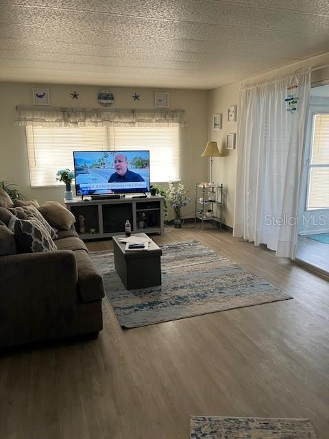 A living room features light wood-look flooring, a gray sofa, and a television on a stand — 2341 BARON DRIVE, HOLIDAY, FL