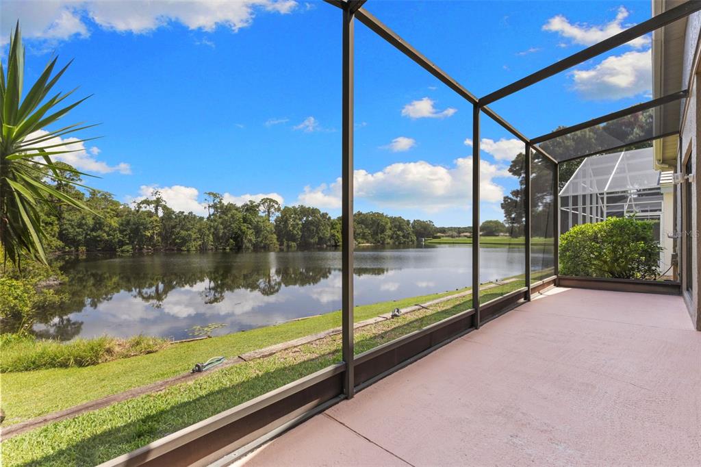 A screened-in patio overlooks a grassy lawn and a calm lake under a blue sky — 4201 WATERSCAPE DRIVE, PALM HARBOR, FL