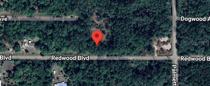 This is a satellite map view showing a wooded lot marked with a red pin — 324 REDWOOD BOULEVARD, GEORGETOWN, FL