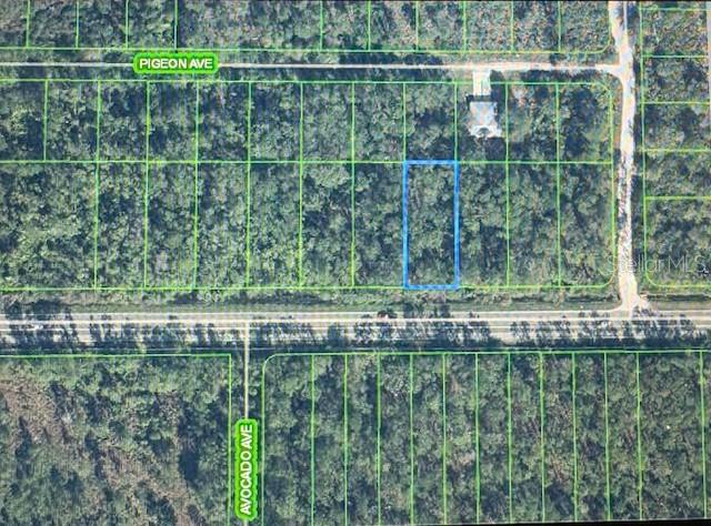 2600 HAMMOCK ROAD, SEBRING, FL — photo 3 of 3