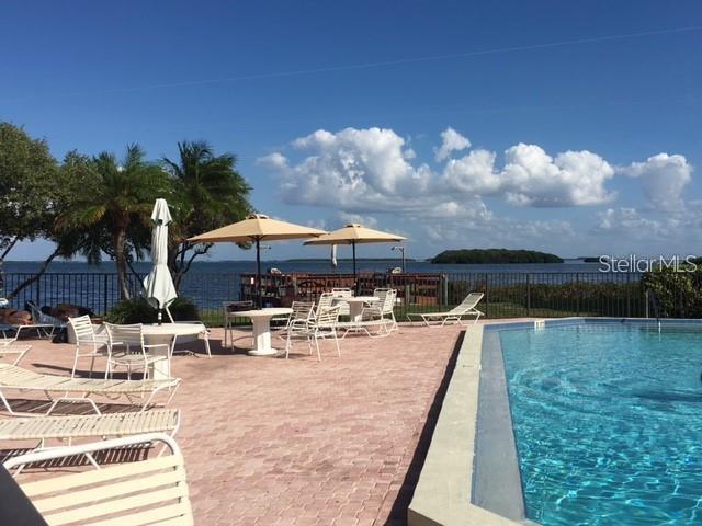 A swimming pool deck overlooks a bay with umbrellas, lounge chairs, and palm trees — 1515 PINELLAS BWY S UNIT 15, TIERRA VERDE, FL