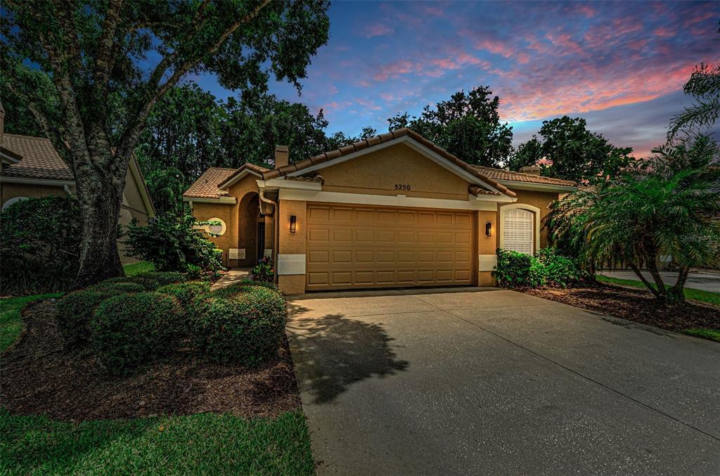 A single-story house with a tan stucco exterior, a two-car garage, and a concrete driveway — 5250 PINEHURST COURT, OLDSMAR, FL