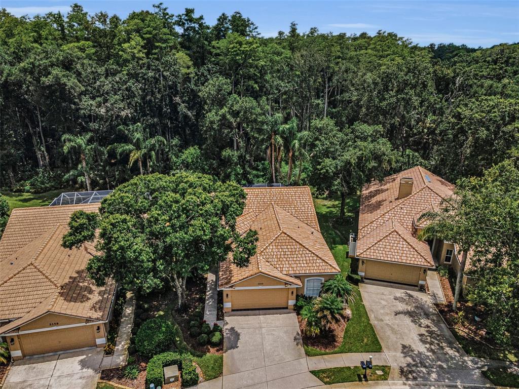 An aerial view shows three suburban houses with tiled roofs surrounded by dense green trees — 5250 PINEHURST COURT, OLDSMAR, FL