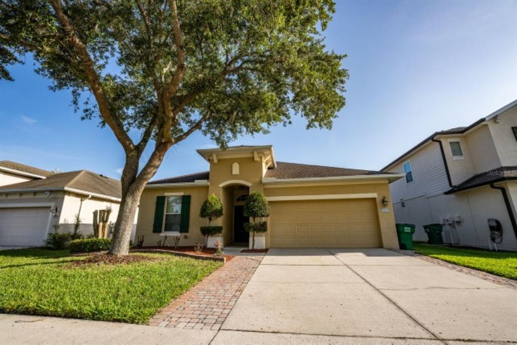 A single-story house with a tan stucco exterior, a two-car garage, and a large tree — 7627 STONEY HILL DRIVE, WESLEY CHAPEL, FL