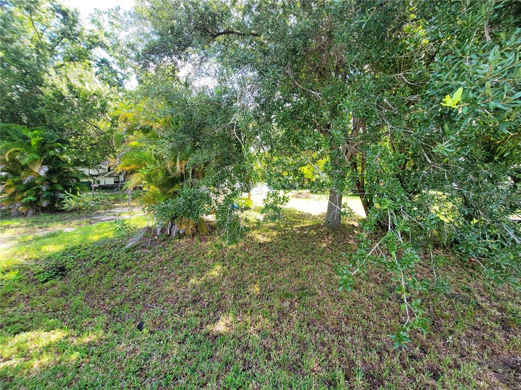 A grassy, tree-shaded lot with palm trees and dense foliage in a residential area — 5504 WILSON DRIVE, PUNTA GORDA, FL