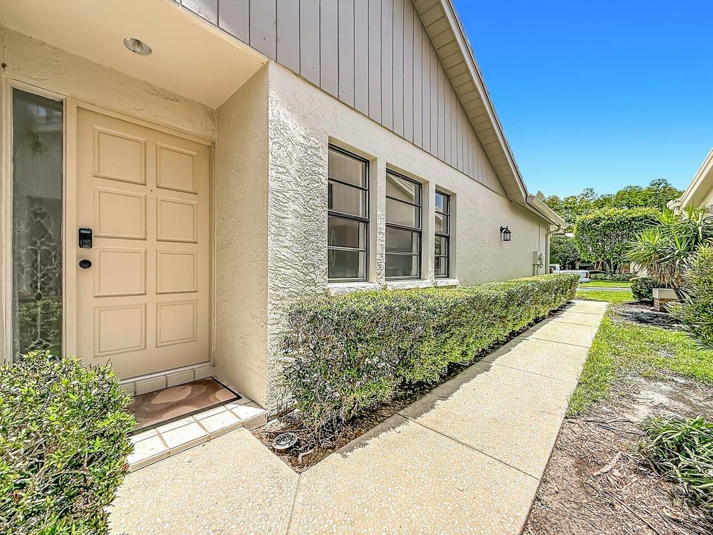 A beige front door with a side window sits beside a walkway and trimmed hedge — 5569 GREYSTON STREET, PALM HARBOR, FL