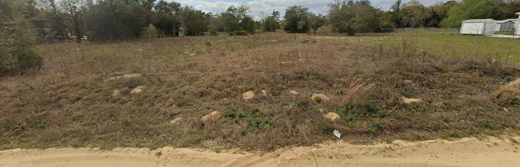 A vacant, grassy lot with scattered rocks and trees borders a sandy road — 513 ANNETTE AVENUE, INTERLACHEN, FL