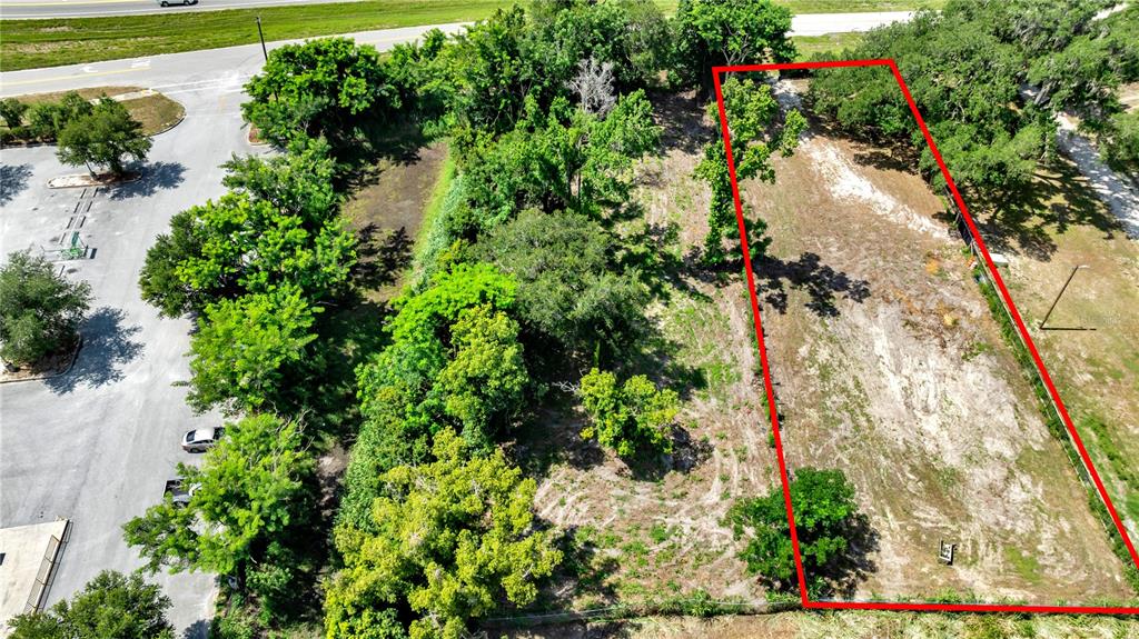 An aerial view shows a rectangular plot of land outlined in red next to trees — 9924 ROCKHILL ROAD, THONOTOSASSA, FL