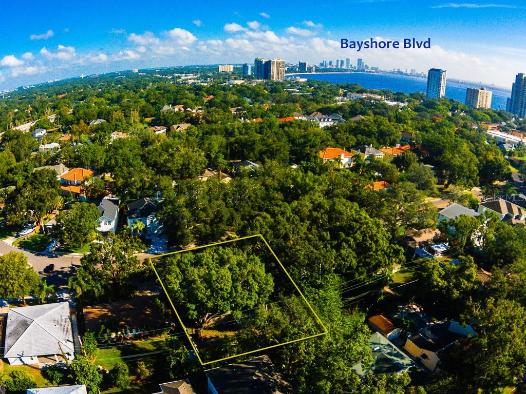 An aerial view shows a wooded residential lot outlined in yellow near a waterfront city — 3136 W EUCLID AVENUE, TAMPA, FL