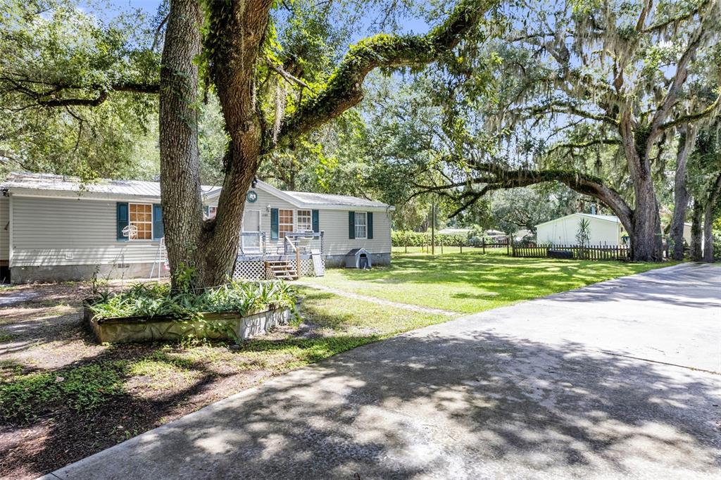 A light-colored house with a metal roof sits on a grassy lot with large trees — 1705 SE 179 PLACE, SUMMERFIELD, FL