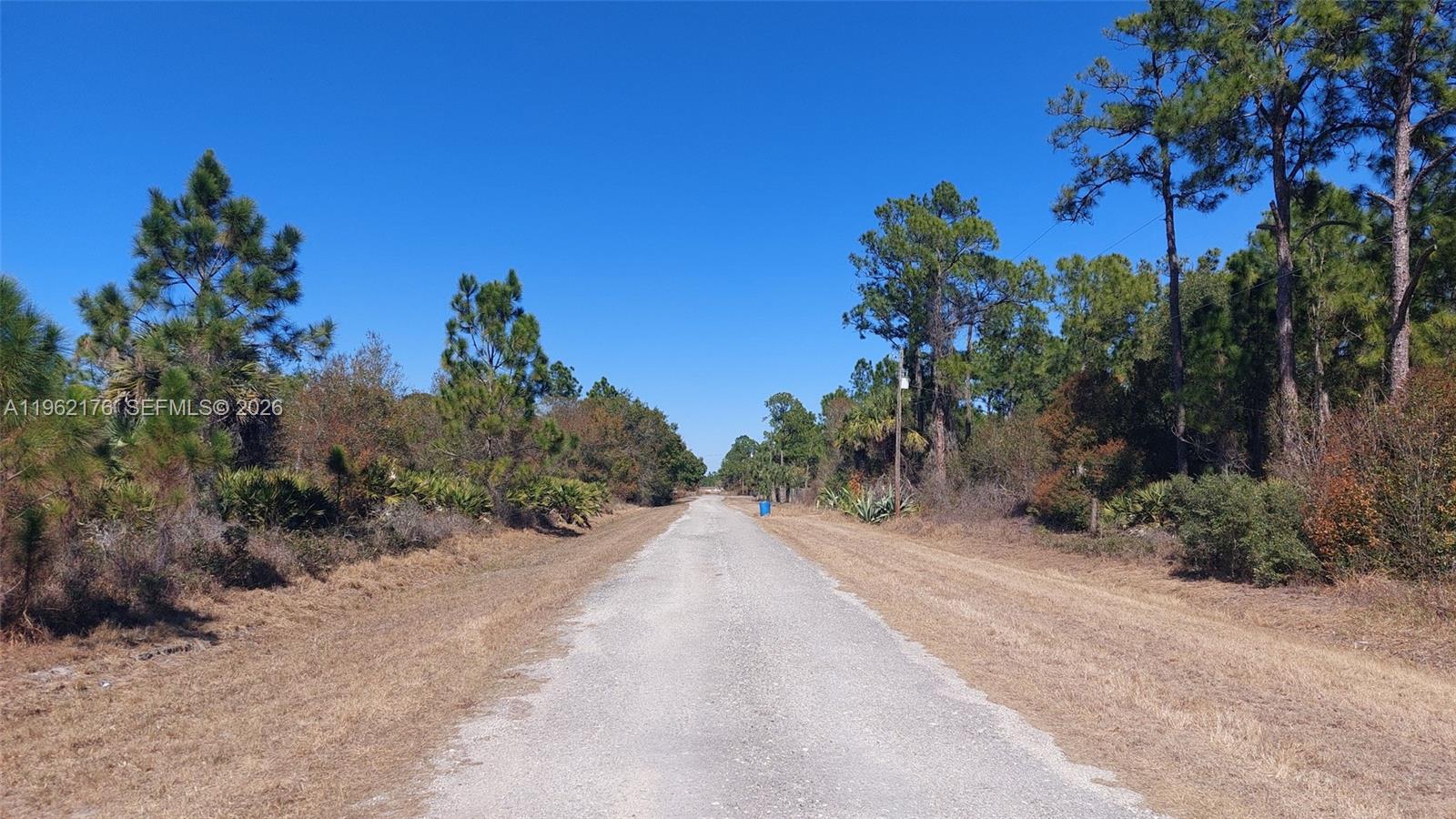 A gravel road stretches through a wooded area under a clear blue sky — 665 S Palm St, Clewiston FL 33440, CLEWISTON, FL