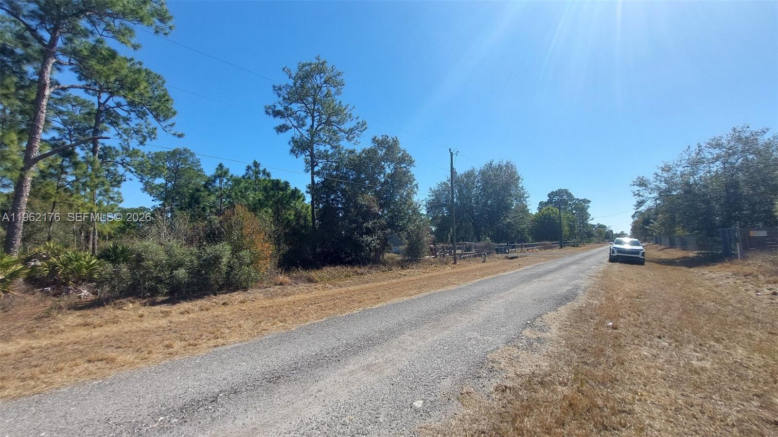 A gravel road runs alongside a wooded lot with a parked car in the distance — 665 S Palm St, Clewiston FL 33440, CLEWISTON, FL