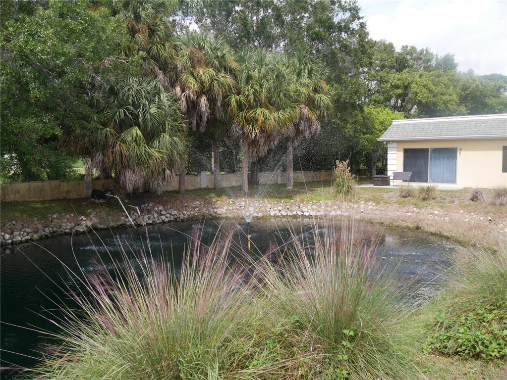A backyard pond with a fountain sits in front of palm trees and a house — 2411 ASPINWALL STREET UNIT 2411, SARASOTA, FL