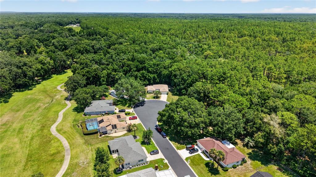An aerial view shows several suburban houses situated near a large forest and a golf course — 15024 SW 112TH CIRCLE, DUNNELLON, FL