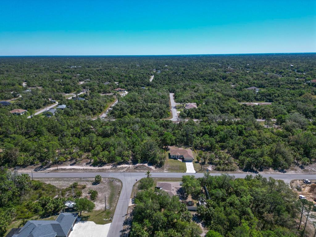 An aerial view shows a residential street with scattered houses surrounded by dense green trees — LEESBURG AVENUE, NORTH PORT, FL