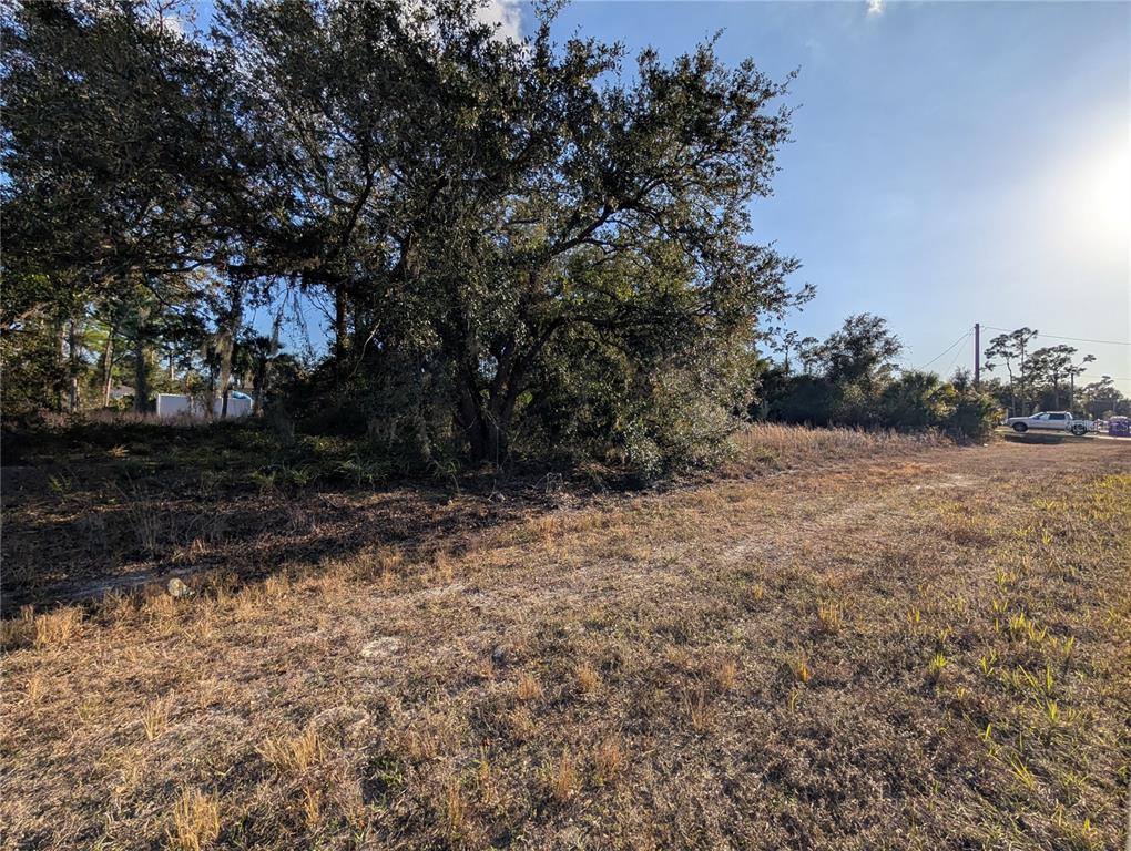 A large oak tree stands on a grassy, undeveloped lot under a bright sky — Lots 33 & 34 SAN MATEO DRIVE, NORTH PORT, FL