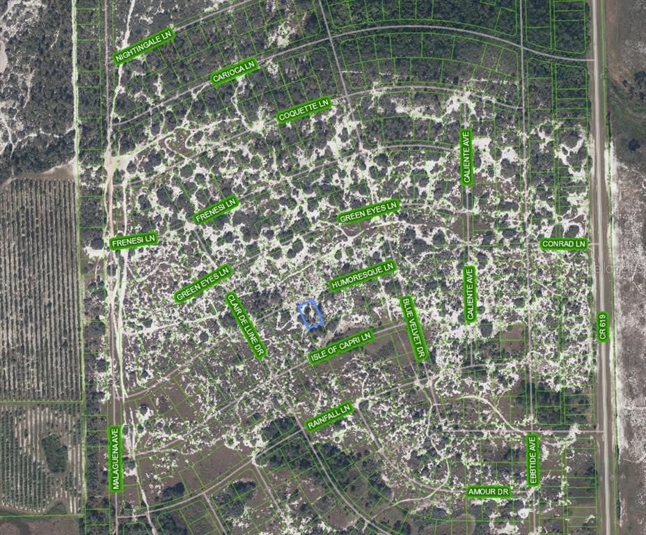 This is an aerial map showing a residential lot highlighted in blue within a subdivision — 463 HUMORESQUE LANE, LAKE PLACID, FL