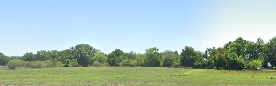 A wide, grassy field stretches toward a dense line of trees under a clear sky — 463 HUMORESQUE LANE, LAKE PLACID, FL