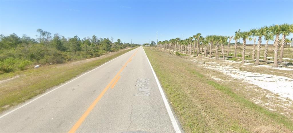 A paved road stretches into the distance between a wooded area and a palm tree grove — 463 HUMORESQUE LANE, LAKE PLACID, FL