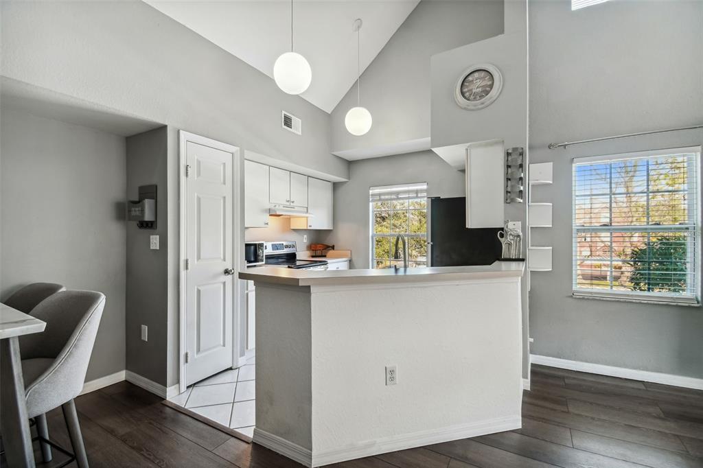 A kitchen with white cabinets, a breakfast bar, and vaulted ceilings, viewed from a dining area — 10462 WHITE LAKE COURT, TAMPA, FL