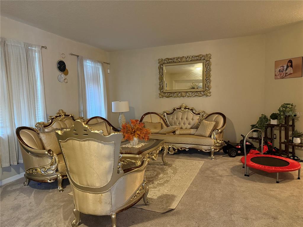 A living room features ornate gold-trimmed furniture, a large wall mirror, and a small trampoline — 12139 FOX BLOOM AVENUE, GIBSONTON, FL