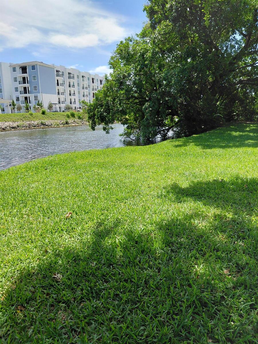 A grassy lawn slopes down toward a canal next to a large tree and apartments — 2403 S Waterside Drive # 2403, Lake Worth FL 33461, LAKE WORTH, FL