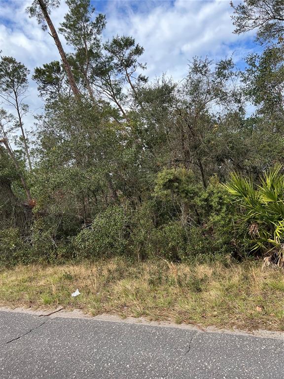 A view of a wooded, undeveloped lot from the edge of an asphalt road — FISHERMANS ROAD, PAISLEY, FL