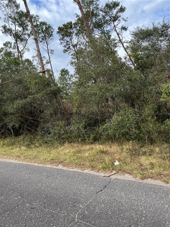 A view of a wooded, undeveloped lot from the edge of an asphalt road — FISHERMANS ROAD, PAISLEY, FL