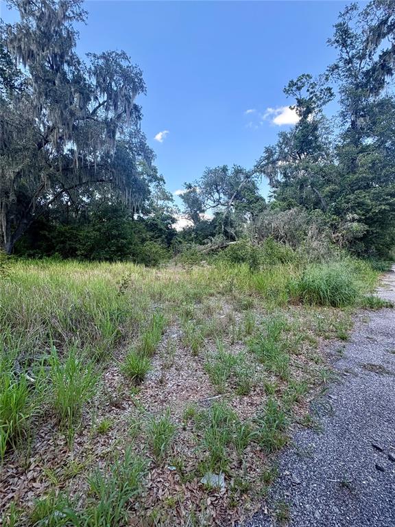 A paved road leads to a dirt driveway marked by a mailbox and street signs — SYDNEY WASHER ROAD, DOVER, FL