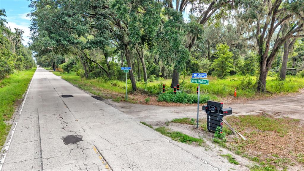 A dirt road intersection features a mailbox, street signs, and large trees with Spanish moss — SYDNEY WASHER ROAD, DOVER, FL