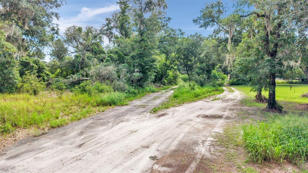 A dirt road winds through a wooded area with grassy fields on either side — SYDNEY WASHER ROAD, DOVER, FL