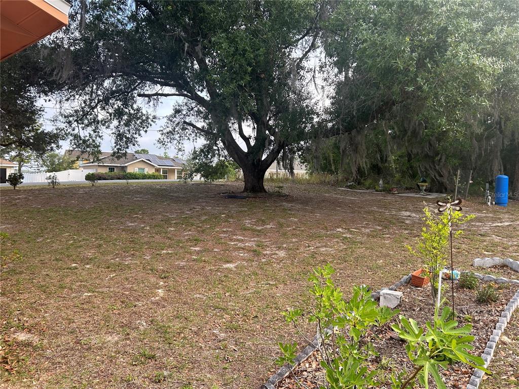 A large tree stands in the center of a grassy, partially shaded backyard — 3 JUNIPER PASS LANE, OCALA, FL