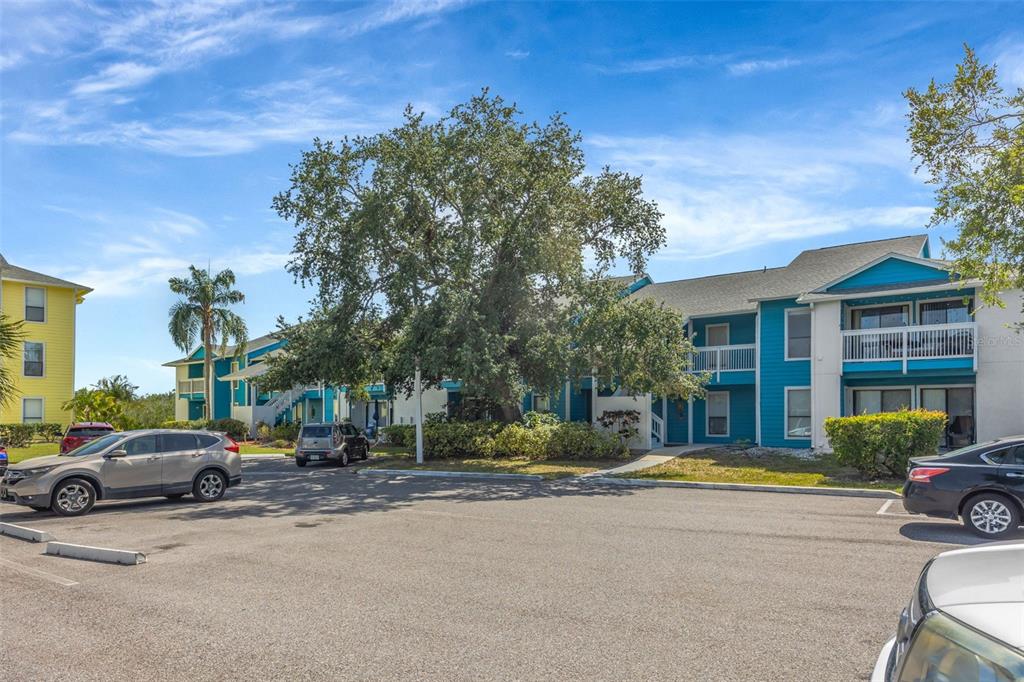A parking lot sits in front of a two-story apartment building with blue siding — 455 ALT 19 S UNIT 159, PALM HARBOR, FL