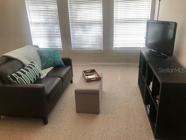 A living room features a dark leather sofa, a storage ottoman, and a television stand — 533 GREENBRIER AVENUE UNIT B, CELEBRATION, FL