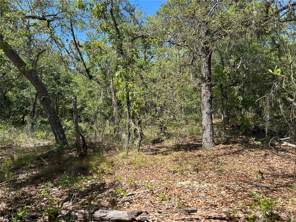 TBD SE 62ND, MORRISTON, FL — photo 4 of 8