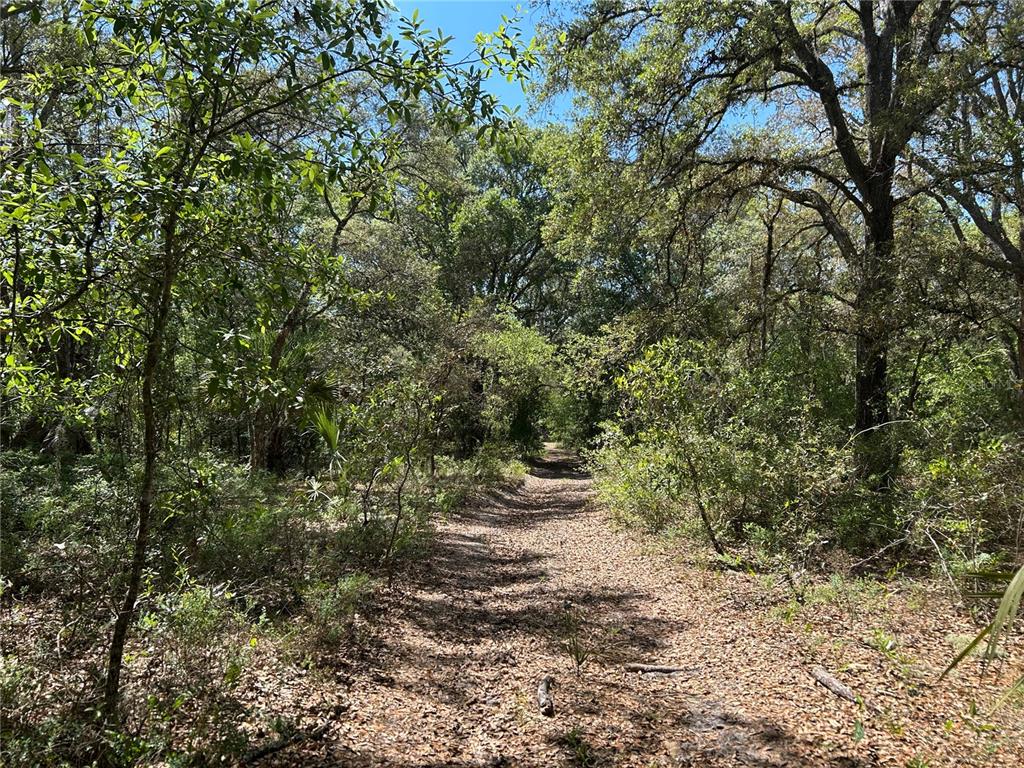 TBD SE 62ND, MORRISTON, FL — photo 5 of 8