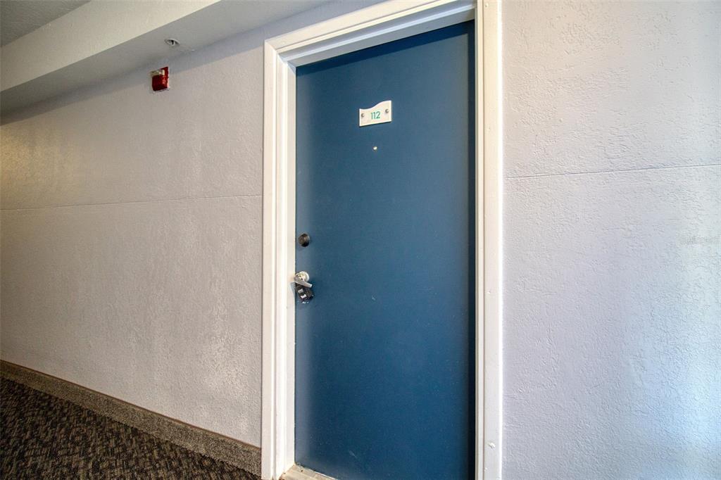 A blue apartment door labeled 112 is set in a light-colored hallway with carpeted flooring — 3315 58TH AVENUE S UNIT 112, ST PETERSBURG, FL