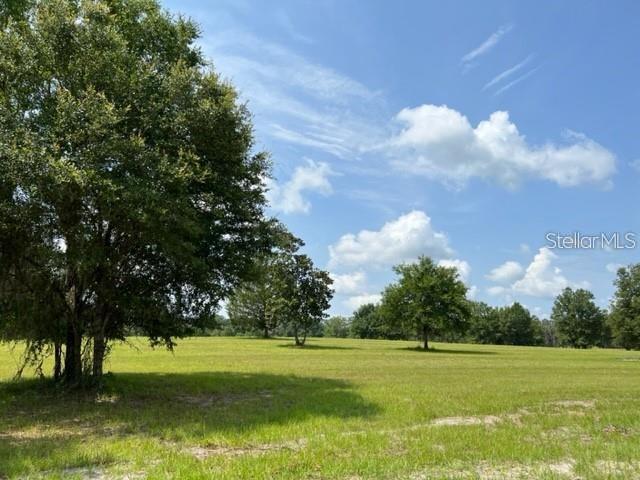 A grassy field with scattered trees under a blue sky with white clouds — TBD NW 14TH ST. - LOT 3, OCALA, FL