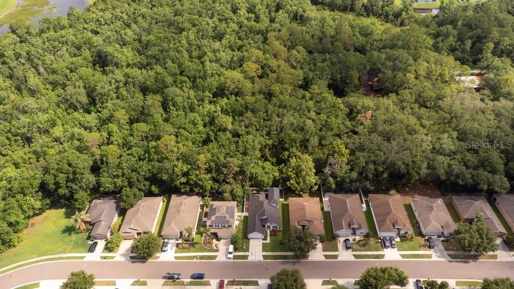 An aerial view shows a row of suburban houses bordering a large, dense forest area — 6249 TWIN BRIDGES DRIVE, ZEPHYRHILLS, FL
