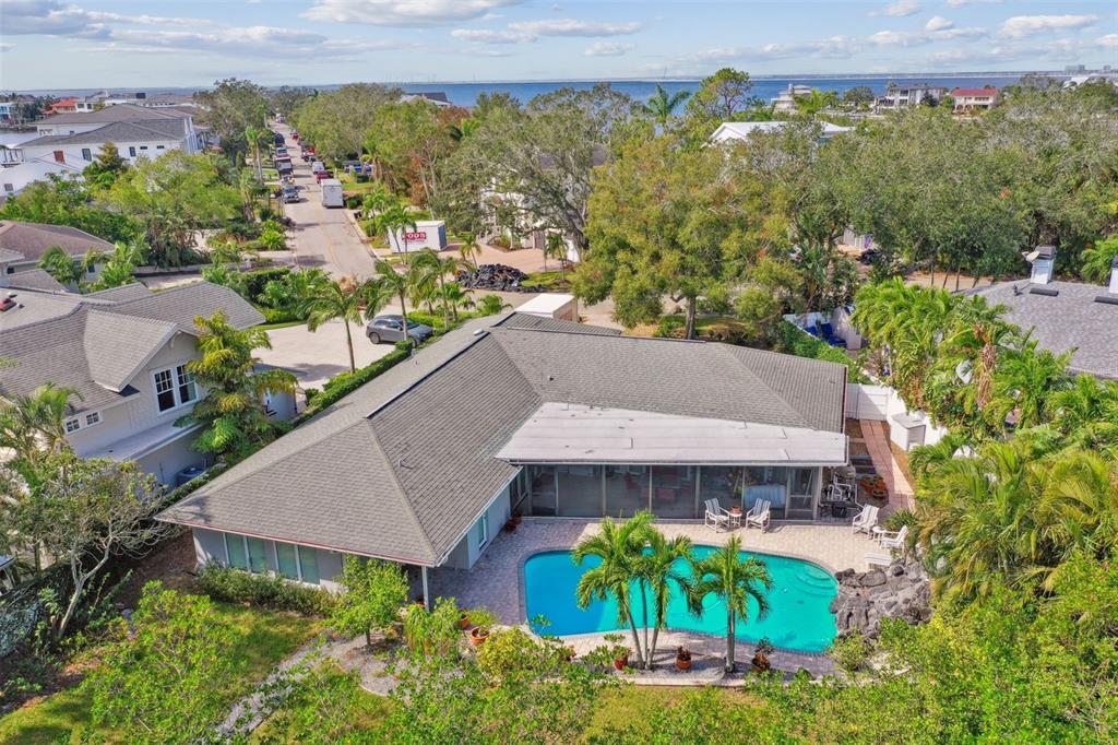 An aerial view of a house with a swimming pool, screened patio, and surrounding trees — 5104 W SAN JOSE STREET, TAMPA, FL