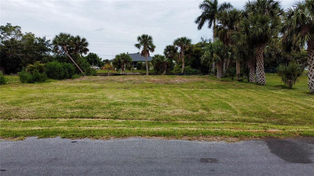 A vacant, grassy residential lot features several palm trees and a house in the background — 341 LAKE COURT, PUNTA GORDA, FL