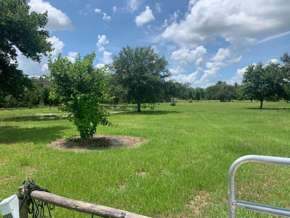A grassy field with a small pond and several trees under a cloudy blue sky — 40906 11TH AVENUE E, MYAKKA CITY, FL